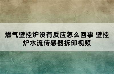 燃气壁挂炉没有反应怎么回事 壁挂炉水流传感器拆卸视频